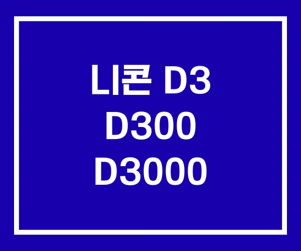 니콘 D3 D300 D3000