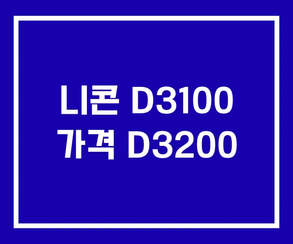 니콘 D3100 가격 D3200