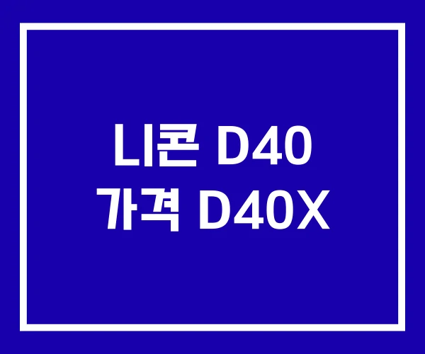 니콘 D40 가격 D40X