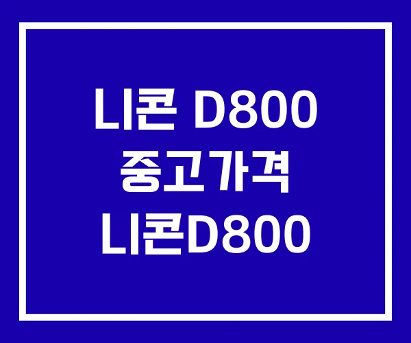니콘 D800 중고가격 니콘D800