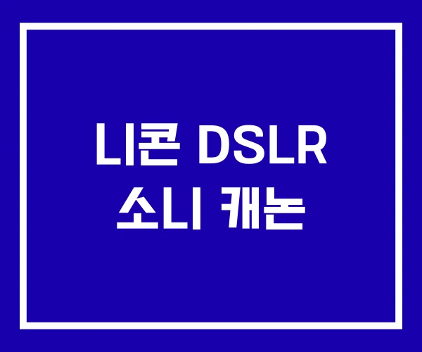 니콘 DSLR 소니 캐논