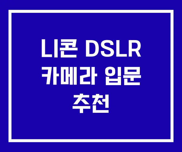 니콘 DSLR 카메라 입문 추천