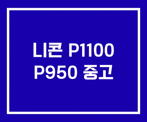 니콘 P1100 P950 중고