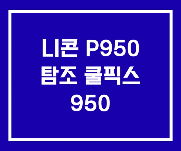니콘 P950 탐조 쿨픽스 950