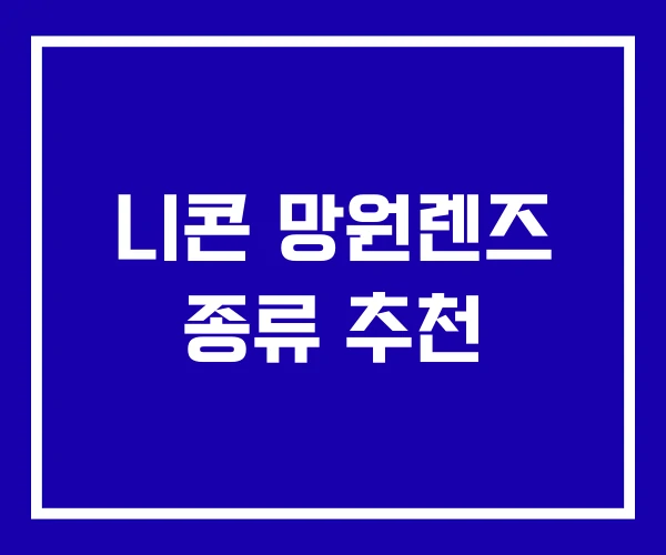 니콘 망원렌즈 종류 추천