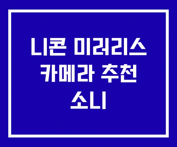 니콘 미러리스 카메라 추천 소니