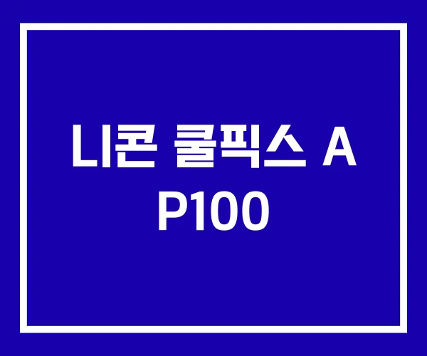 니콘 쿨픽스 A P100