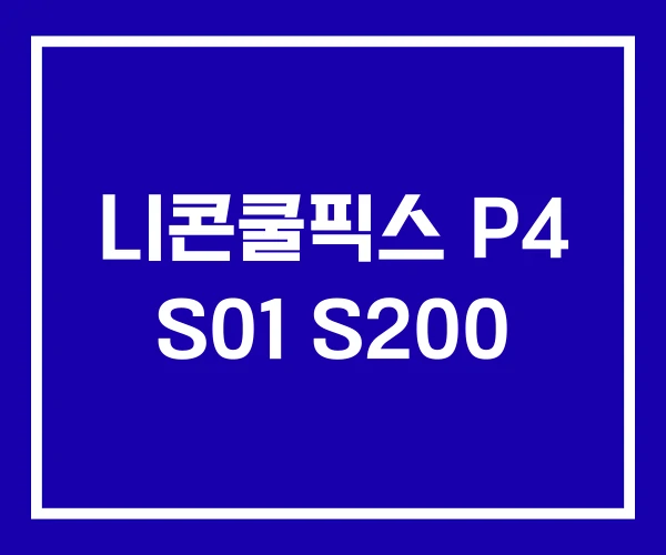 니콘쿨픽스 P4 S01 S200 니콘쿨픽스 P4 S01 S200