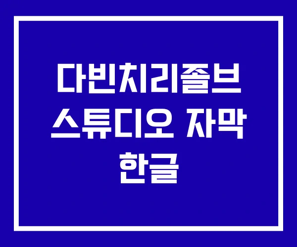다빈치리졸브 스튜디오 자막 한글