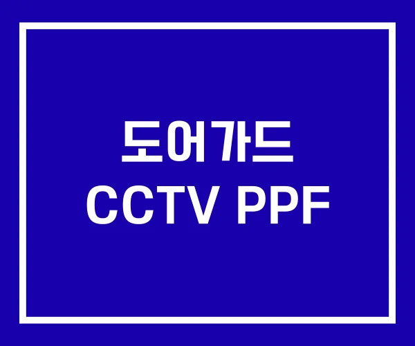 도어가드 CCTV PPF