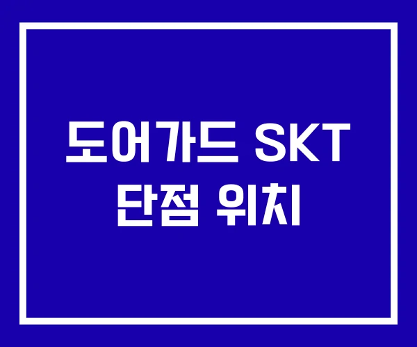 도어가드 SKT 단점 위치