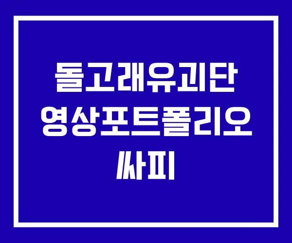돌고래유괴단 영상포트폴리오 싸피