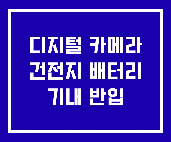 디지털 카메라 건전지 배터리 기내 반입