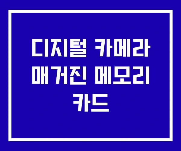 디지털 카메라 매거진 메모리 카드