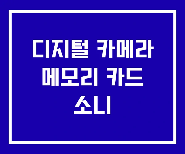 디지털 카메라 메모리 카드 소니
