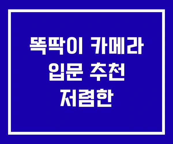 똑딱이 카메라 입문 추천 저렴한