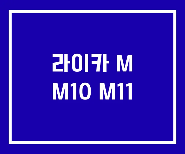 라이카 M M10 M11