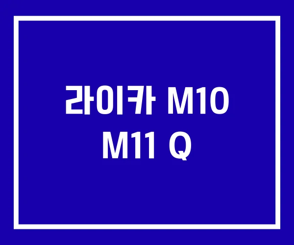 라이카 M10 M11 Q