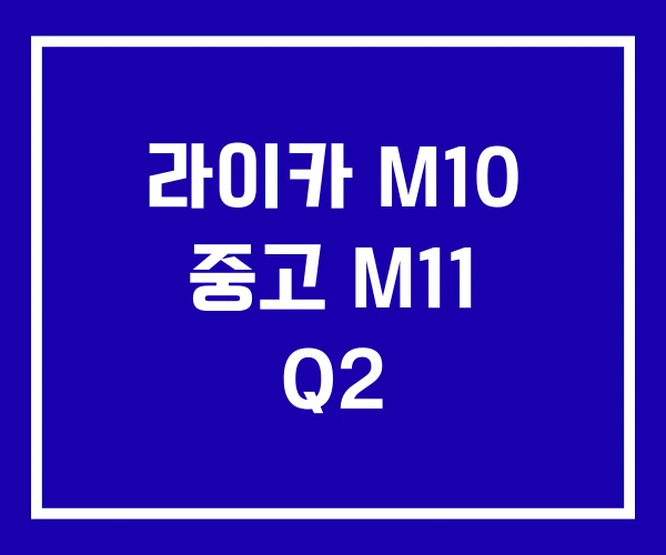라이카 M10 중고 M11 Q2
