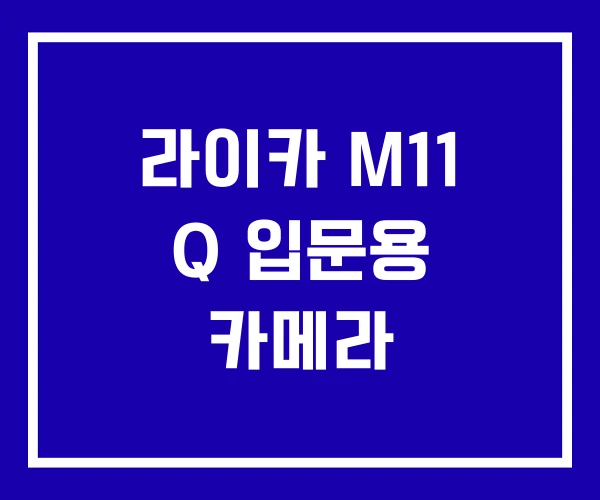 라이카 M11 Q 입문용 카메라