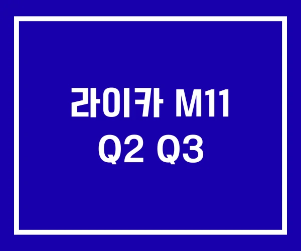 라이카 M11 Q2 Q3