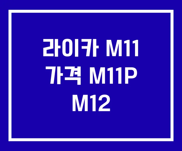 라이카 M11 가격 M11P M12