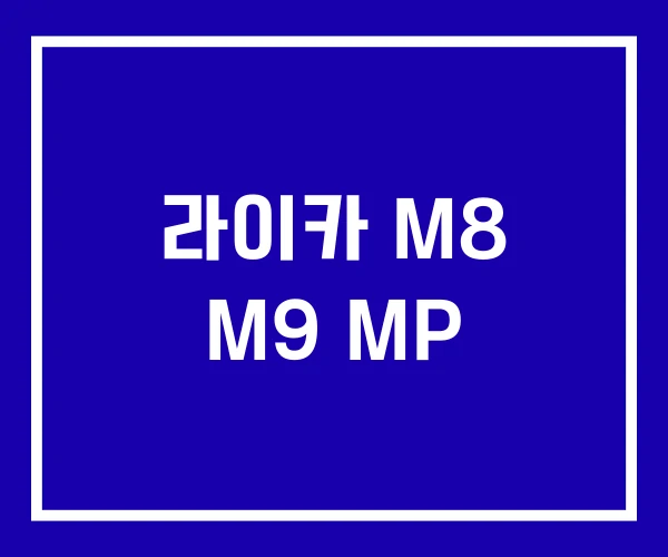 라이카 M8 M9 MP