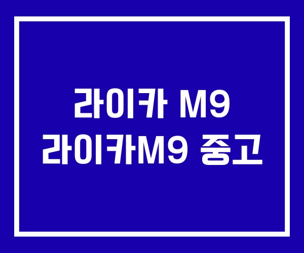 라이카 M9 라이카M9 중고