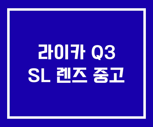라이카 Q3 SL 렌즈 중고