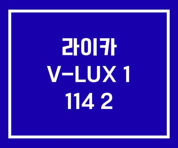 라이카 V-LUX 1 114 2 라이카 V-LUX 1 114 2