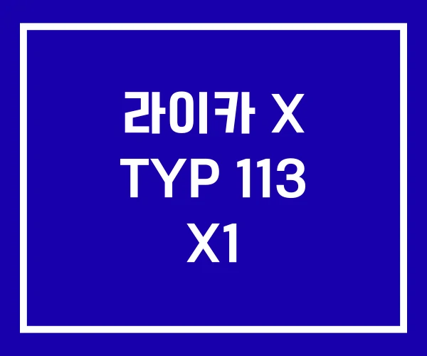 라이카 X TYP 113 X1