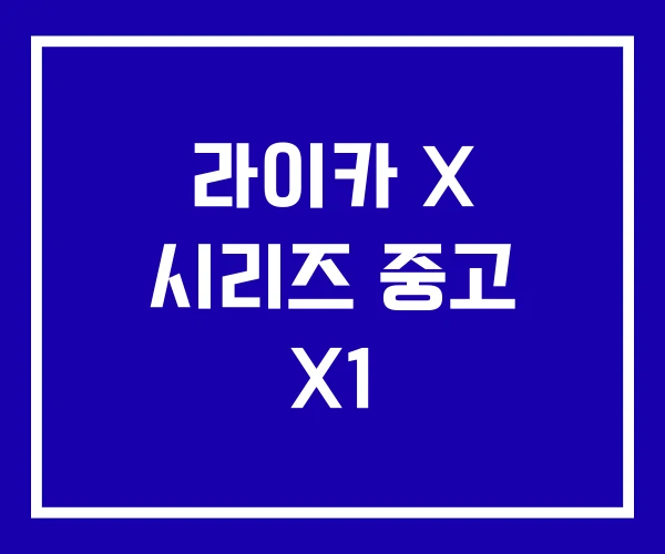 라이카 X 시리즈 중고 X1 라이카 X 시리즈 중고 X1