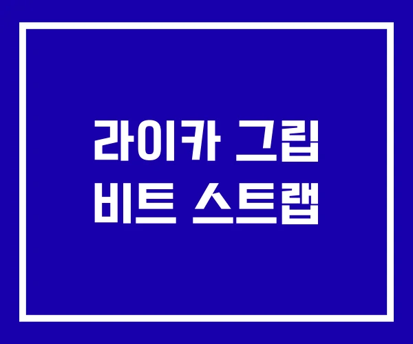 라이카 그립 비트 스트랩