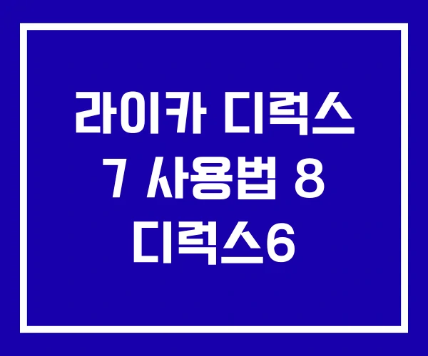 라이카 디럭스 7 사용법 8 디럭스6