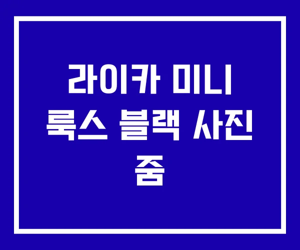 라이카 미니 룩스 블랙 사진 줌