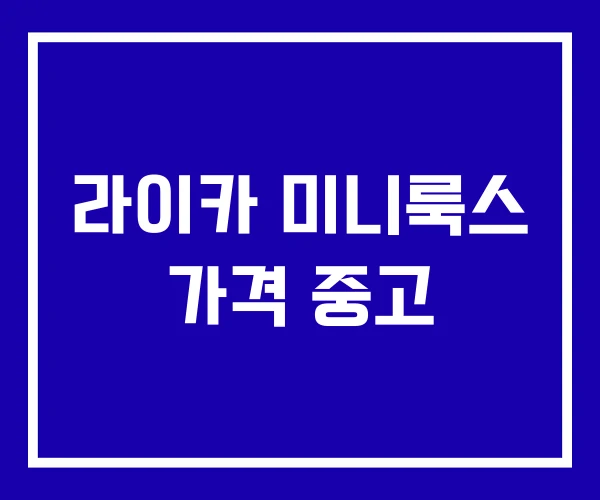 라이카 미니룩스 가격 중고