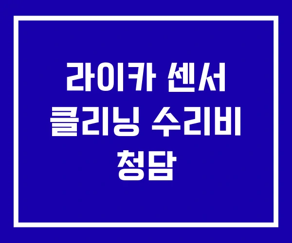 라이카 센서 클리닝 수리비 청담