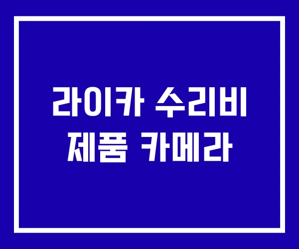 라이카 수리비 제품 카메라