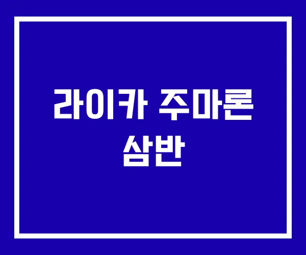 라이카 주마론 삼반