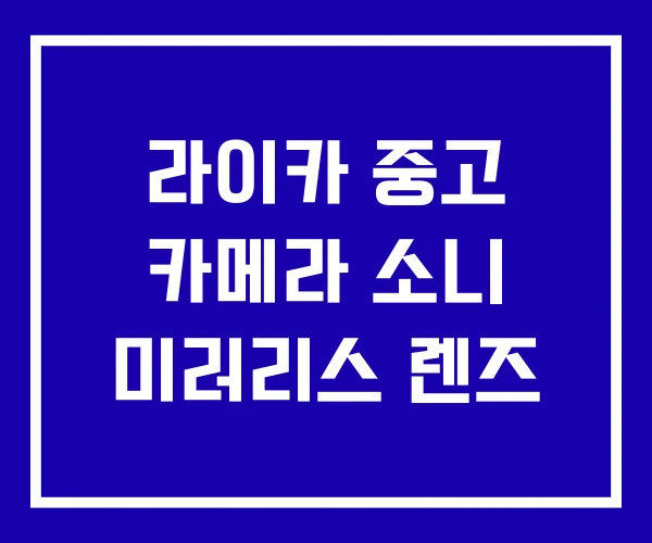 라이카 중고 카메라 소니 미러리스 렌즈
