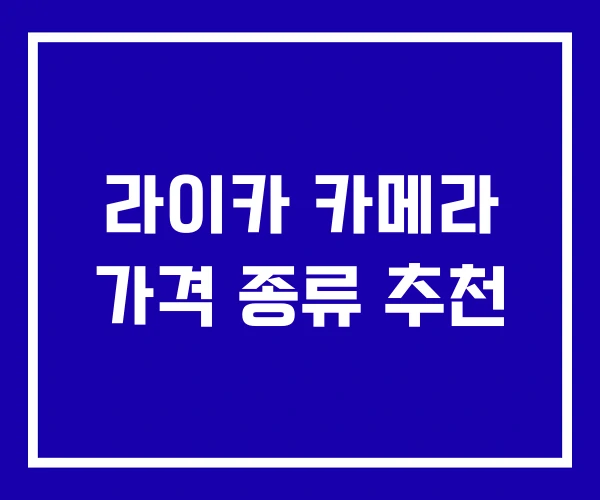 라이카 카메라 가격 종류 추천 라이카 카메라 가격 종류 추천