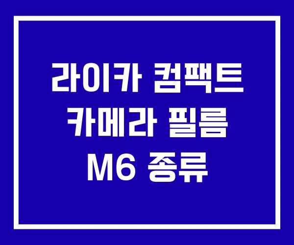 라이카 컴팩트 카메라 필름 M6 종류