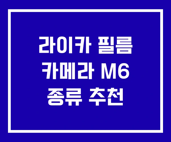 라이카 필름 카메라 M6 종류 추천