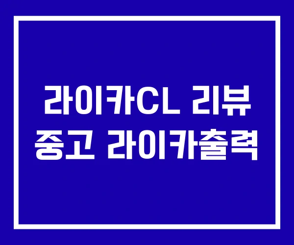 라이카CL 리뷰 중고 라이카출력