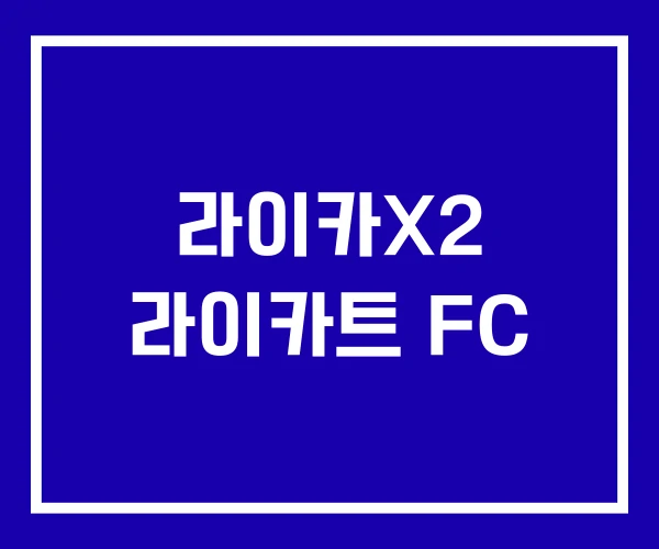 라이카X2 라이카트 FC
