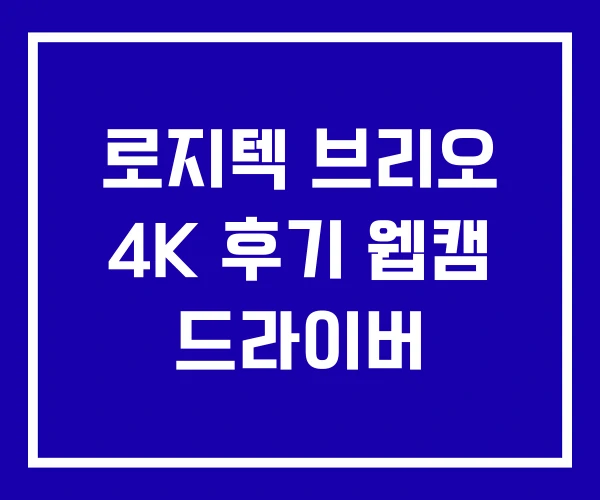 로지텍 브리오 4K 후기 웹캠 드라이버 로지텍 브리오 4K 후기 웹캠 드라이버