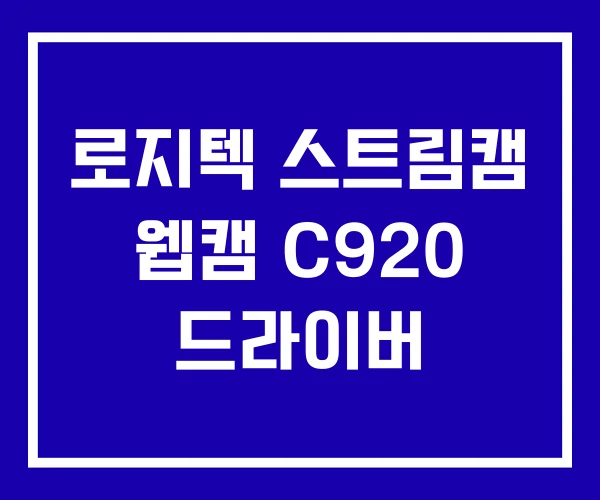 로지텍 스트림캠 웹캠 C920 드라이버