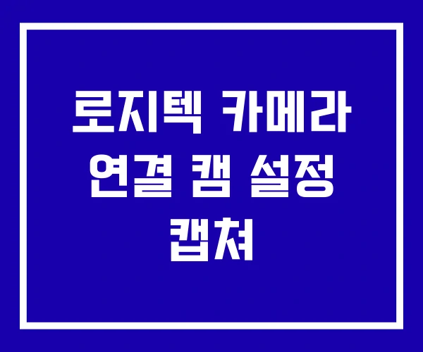 로지텍 카메라 연결 캠 설정 캡쳐