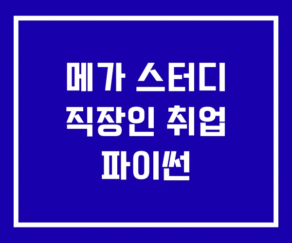 메가 스터디 직장인 취업 파이썬