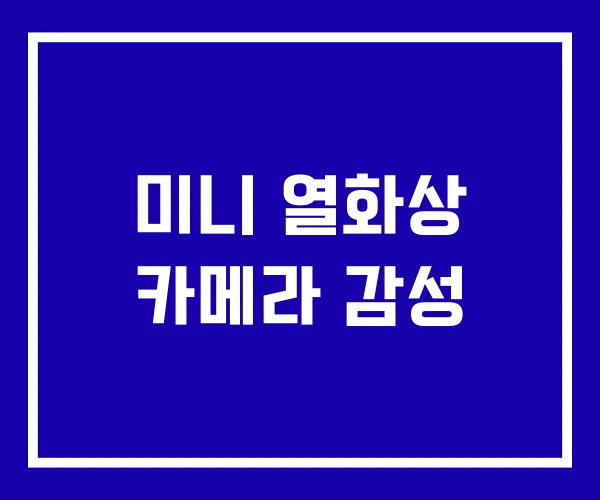 미니 열화상 카메라 감성